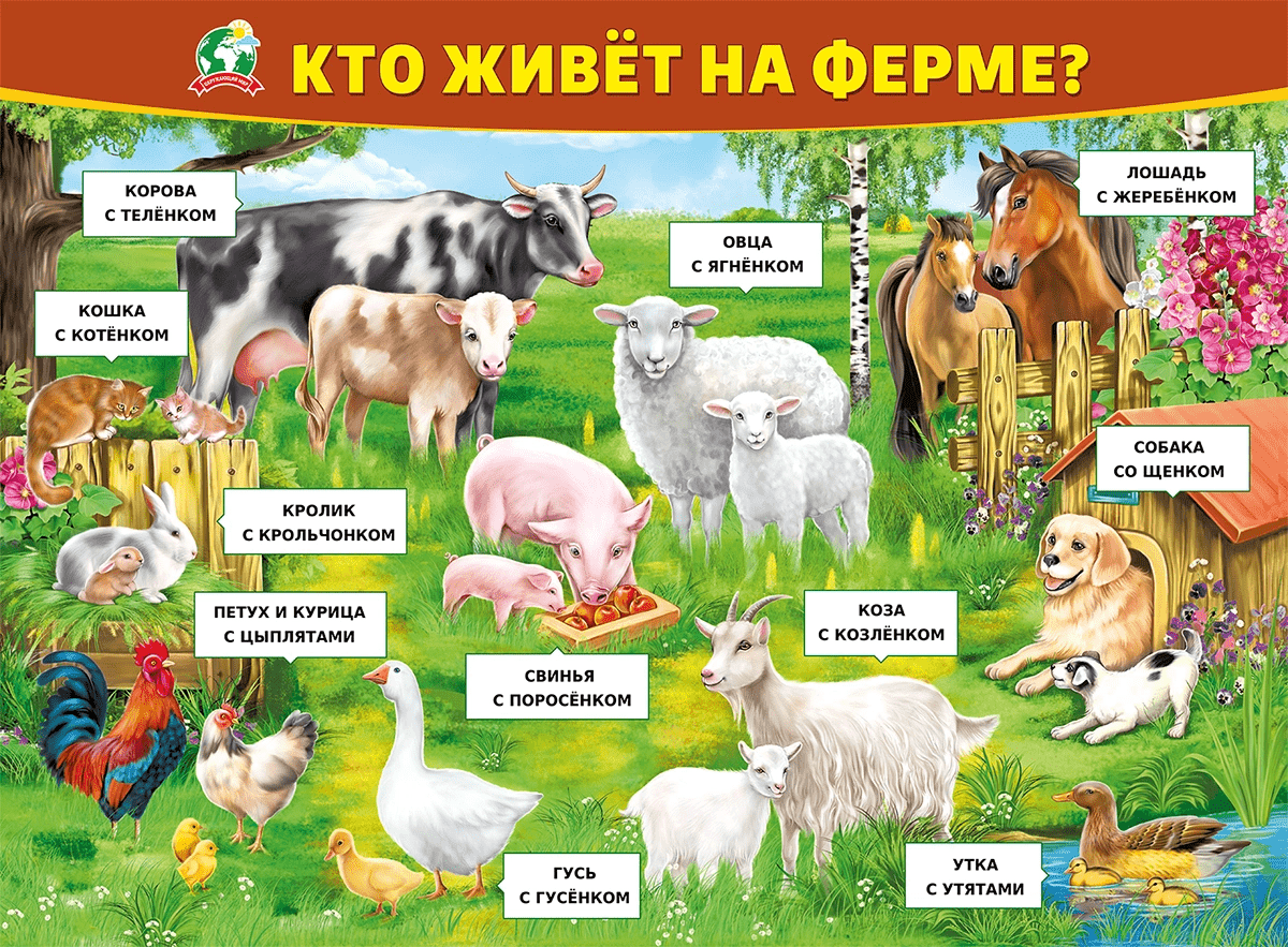 Кто живет в нашем лесу проект