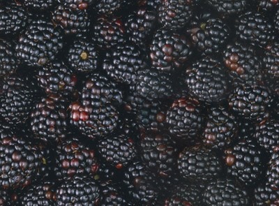 Wildberries фон для фотошопа