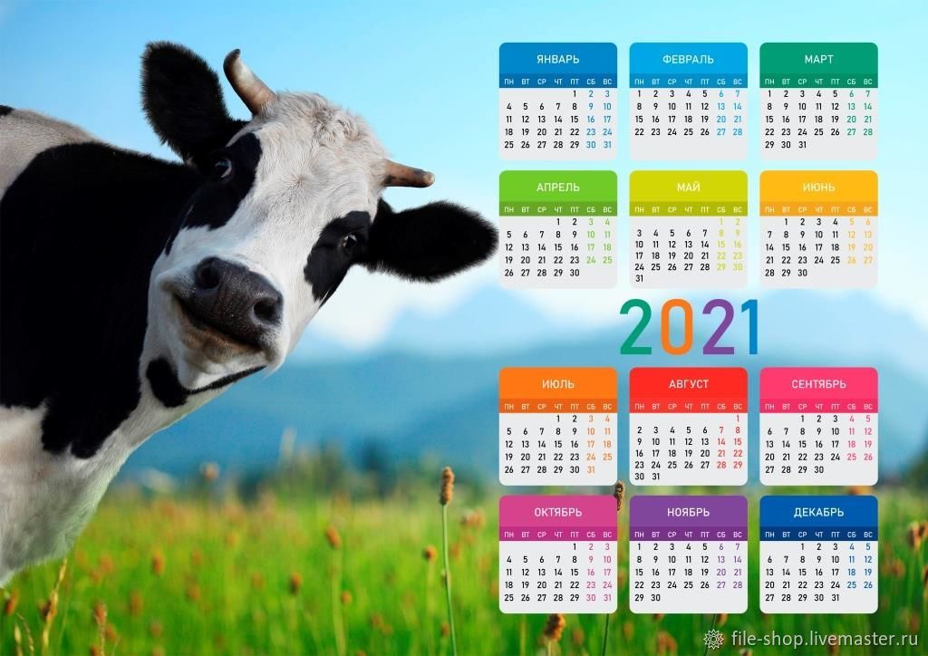 Настенный календарь 2021 "Любопытная коровка"