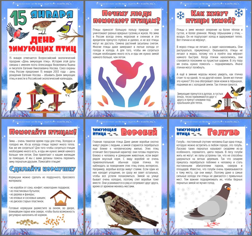 Зимующие птицы. Листы А4 для оформления ко Дню зимующих птиц. — Шаблоны для  печати