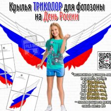 Крылья ТРИКОЛОР для фотозоны на День России